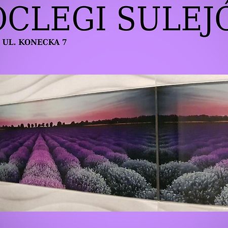 Noclegi سولييوف المظهر الخارجي الصورة